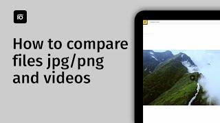 How to compare files jpgpngvideos  Pics.io tutorial