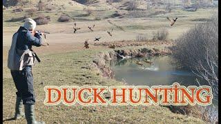 Ördek Avı 2020 -2021 - Parlama Avı - DAN DAN DAN  Duck Hunting 2021 İN TURKEY