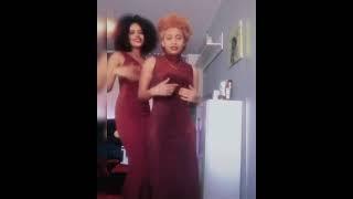 Single & Single on Valentine’s Day Habesha TikTok Eritrean Tiktok