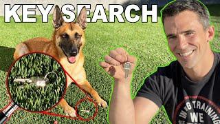 Key Search Trained in One Day Dog Training