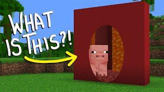 Minecrafts Most Confusing Mod