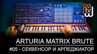 Arturia MatrixBrute #05 - секвенсор и арпеджиатор демо