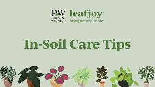 leafjoy In-Soil Care Tips