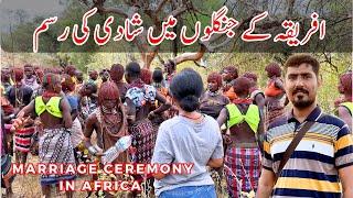 Marriage Ceremony in Ethiopia Jungle Africa  Hammer Tribe Marriage Rituals