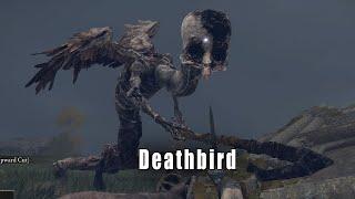 Elden Ring - Deathbird Boss Fight