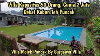 Villa Kapasitas 50 Orang Cuma 2 Juta  Dekat Kebun Teh  Villa Molek By Surganya Villa