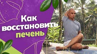 СПАСИ печень как восстановить работу печени