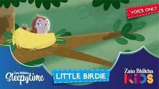 Little Birdie Voice Only  Zain Bhikha