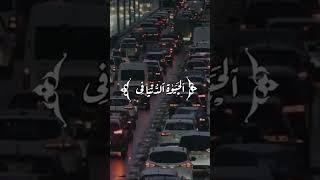 الشيخ محمد صديق المنشاوي