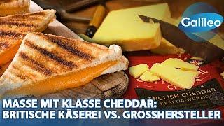 Masse mit Klasse Cheddar Britische Käserei vs. Großhersteller