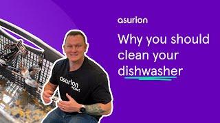 Why you should clean your dishwasher  Asurion