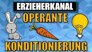 Operante Konditionierung - das operante konditionieren nach Skinner einfach erklärt ERZIEHERKANAL