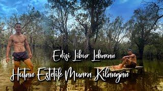 Keindahan Hutan Estetik Muara Kilangan