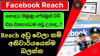 How to Solve Facebook Reach Down Problem Sinhala  නැති උන Facebook රීච් එක ආයෙමත් හදාගමු