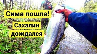 Пошла сима Сахалин дождался  The cherry salmon has arrived Sakhalin was waiting Eng Subs