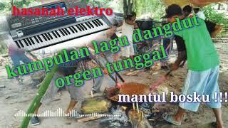 kumpulan dangdutorgan tunggal pengiringpesta hajatan