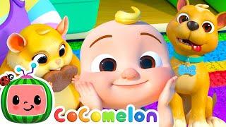 I love my pet Pet Care Song  CoComelon Furry Friends  Animals for Kids