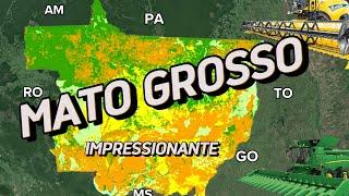 MATO GROSSO – O ESTADO MAIS PROMISSOR DO BRASIL.