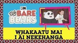 We Bare Bears  Learn te reo Māori Whakaatu Mai Au Nekehanga  EP 3  Cartoon Network