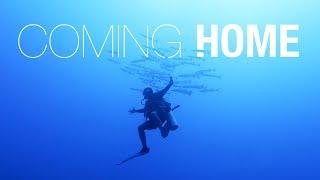 Coming Home - Diving Egypt Red Sea August 2021