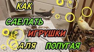 КАК СДЕЛАТЬ ИГРУШКИ ДЛЯ ПОПУГАЯ СВОИМИ РУКАМИ