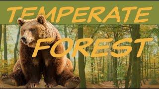 Explore the TEMPERATE FOREST Biome Nature Ecology & Environment