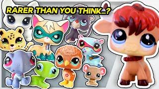 The Phenomenon of Exclusive LPS  Littlest Pet Shop Deep Dive