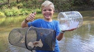 Homemade vs. Store Bought Minnow Trap Surprising Results