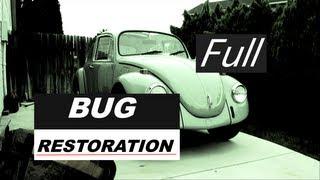 Bug Restoration Official Full Version