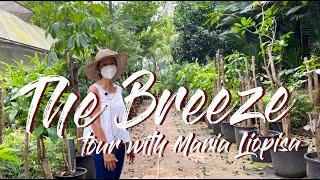 Gorgeous Indonesian Outdoor Mall - The Breeze. With Landscaper Maria Liopisa