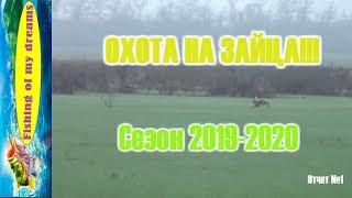 Охота на зайцаКоллективая охота Ноябрь 2019г.Отчёт№1