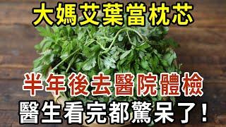 廣東大媽艾葉當枕芯，半年後去醫院體檢，醫生看完都驚呆了！退休人越早知道越好【有書說】#中老年心語 #養老 #養生#幸福人生 #為人處世 #情感故事#讀書#佛#深夜讀書