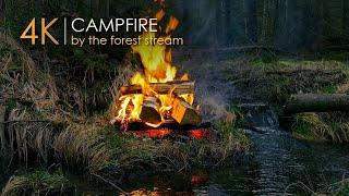 Campfire by the Stream  Natural Sounds & Relaxing Mood