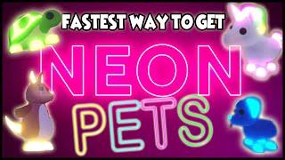 FASTEST WAY TO GET NEON PETS in Adopt Me Roblox How To Get Neon Pets Fast