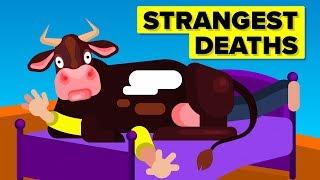 Strangest Ways People Died