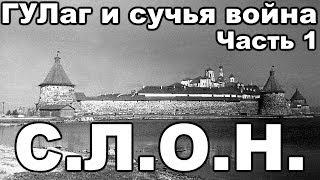 Соловецкий лагерь особого назначения С.Л.О.Н.. С чего начинался ГУЛаг