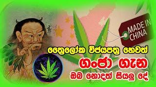 ගංජා ගැන දන්න සිංහලෙන්