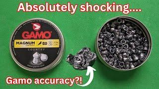 Testing the insane Gamo magnum high power pointed hunting air rifle pellets