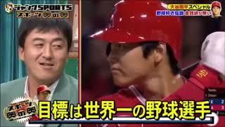 Shohei Ohtanis personality according to ex- baseball players 2018