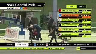 Carreras de Galgos - Central Park 2021