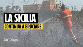 Emergenza incendi la Sicilia continua a bruciare. Tantissimi volontari in campo