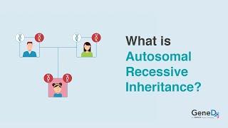 What is Autosomal Recessive Inheritance?