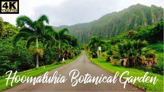 Hoomaluhia Botanical Garden  Scenic Driving Tour Kaneohe Oahu Hawaii 4K