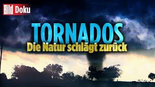 Der Zorn des Himmels Tornados – Tod aus der Luft  BILD Doku