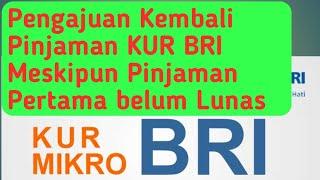 Ternyata Bisa  Pengajuan kembali Pinjaman KUR BRI Meskipun angsuran Pinjaman Pertama Belum Lunas