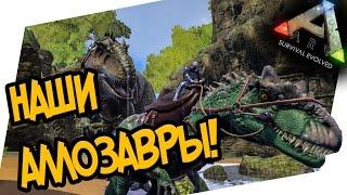 ARK Survival Evolved - ПАТЧ 245 ПРИРУЧЕНИЕ АЛЛОЗАВРА НОВАЯ МЕХАНИКА ИГРЫ - РЫБАЛКА ПЕЛАГОРНИС