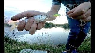 RAPALA CD1. Pesca Ultraligth