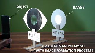 Super easy project for school students  How to make simple human eye model  full tutorial 