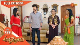 Akka Mogudu - Ep 729  12 April 2021  Gemini TV Serial  Telugu Serial