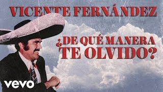 Vicente Fernández - De Qué Manera Te Olvido Letra  Lyrics